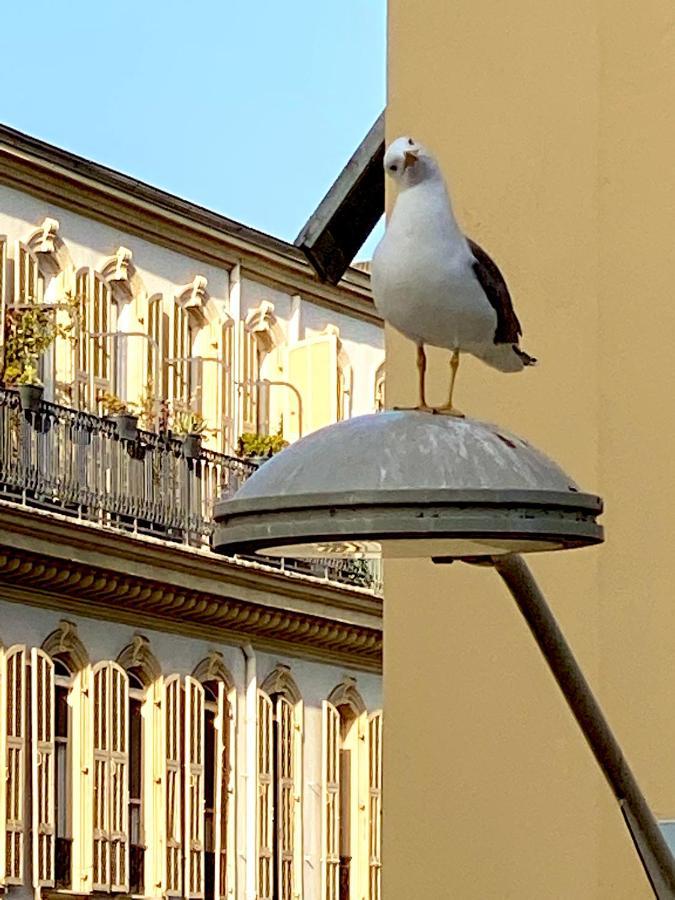 2 Bedroom - Hyper Center - Kitchen - Tramway - Balcony - Air Conditioner - Wifi Nice Exterior foto